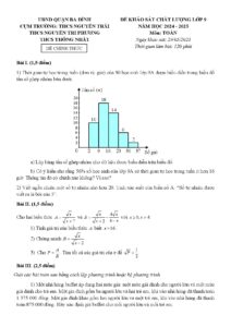 de-khao-sat-chat-luong-toan-lop-9-nam-hoc-2024-2025-cum-truong-thcs-nguyen-trai-nguyen-tri-phuong-thong-nhat - Trang 1