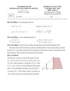 de-khao-sat-chat-luong-mon-toan-9-dau-nam-hoc-2025-2026-truong-da-tri-tue - Trang 1