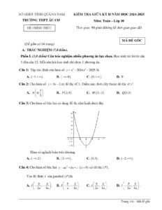 de-kiem-tra-giua-ky-ii-toan-lop-10-nam-hoc-2024-2025-truong-thpt-au-co - Trang 1