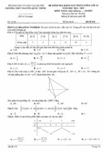 de-kiem-tra-khao-sat-chat-luong-toan-lop-12-nam-hoc-2024-2025-truong-thpt-nguyen-quoc-trinh - Trang 1