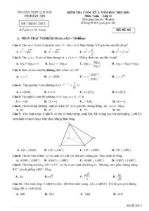de-kiem-tra-cuoi-hoc-ky-2-mon-toan-lop-11-nam-hoc-2023-2024-truong-thpt-que-son - Trang 1