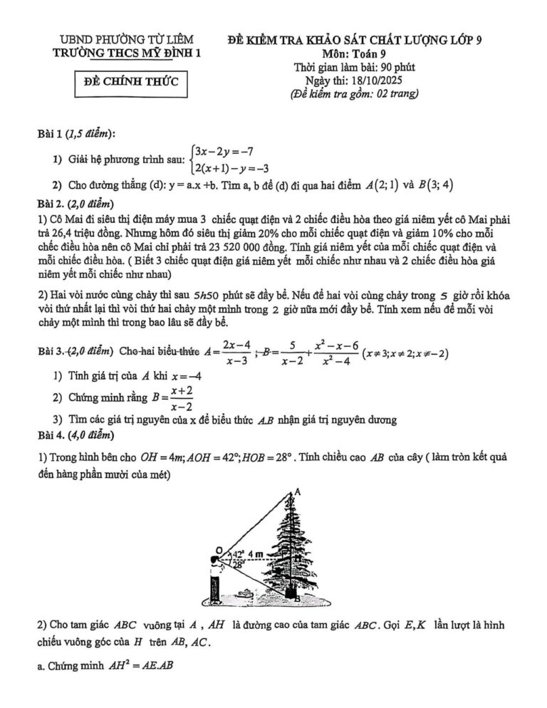 de-kiem-tra-khao-sat-chat-luong-toan-lop-9 - Trang 1