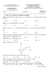 de-kiem-tra-cuoi-hoc-ky-2-mon-toan-lop-11-bo-sach-canh-dieu-nam-hoc-2023-2024-truong-thpt-thi-xa-quang-tri - Trang 1
