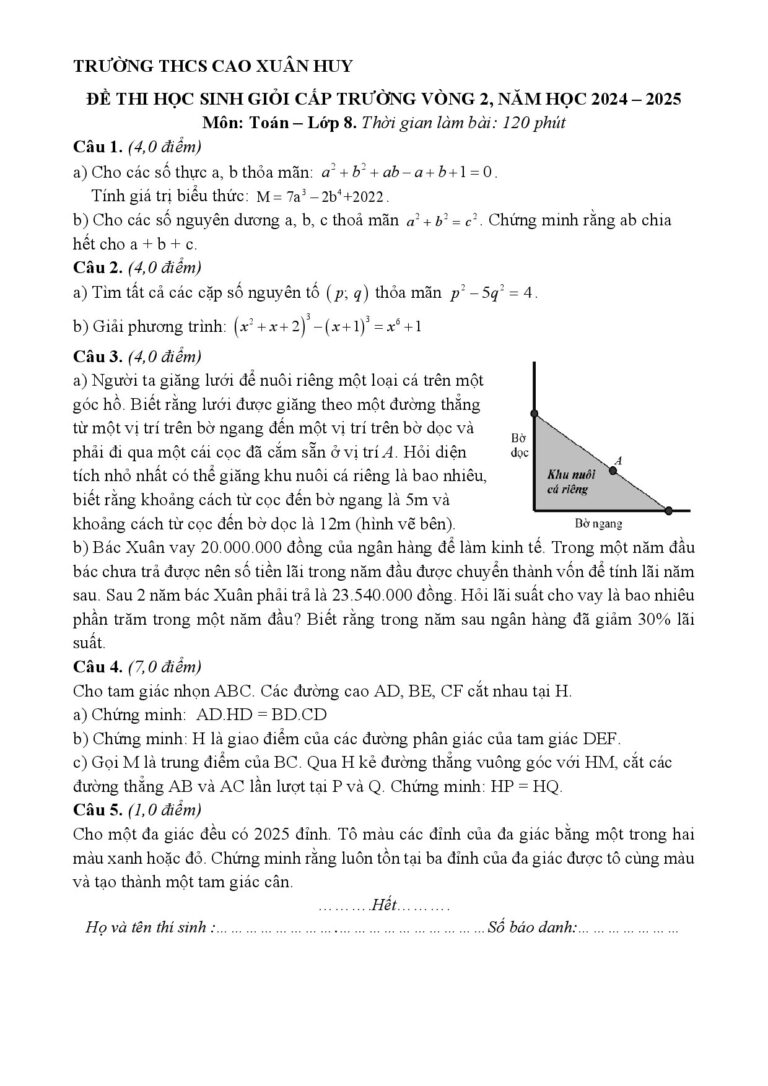 de-thi-hoc-sinh-gioi-toan-lop-8-vong-2-nam-hoc-2024-2025-truong-thcs-cao-xuan-huy - Trang 1