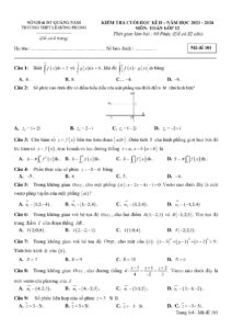 de-kiem-tra-cuoi-hoc-ky-2-toan-12-truong-thpt-le-hong-phong-nam-hoc-2023-2024 - Trang 1