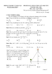 de-khao-sat-chat-luong-giua-hoc-ky-2-mon-toan-lop-8-nam-hoc-2024-2025-huyen-giao-thuy - Trang 1