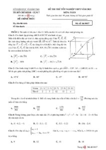 de-thi-thu-tot-nghiep-thpt-mon-toan-ma-de-0017-nam-2025-tp-ho-chi-minh-cum-7 - Trang 1