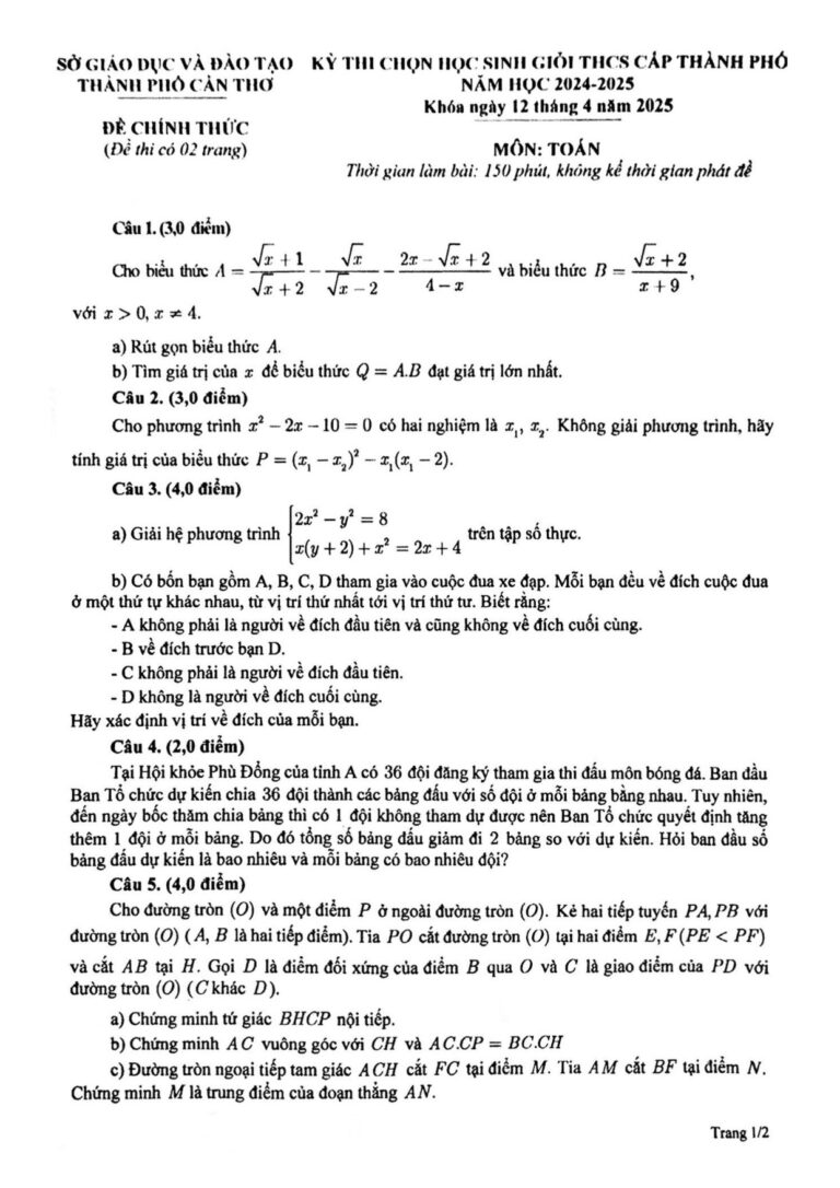 de-thi-chon-hoc-sinh-gioi-toan-thcs-thanh-pho-can-tho-nam-hoc-2024-2025 - Trang 1