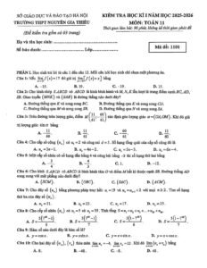 de-kiem-tra-hoc-ky-1-toan-lop-11-nam-hoc-2025-2026-truong-thpt-nguyen-gia-thieu - Trang 1
