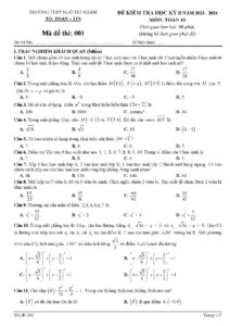 de-kiem-tra-hoc-ky-ii-toan-10-nam-2023-2024-truong-thpt-ngo-thi-nham - Trang 1