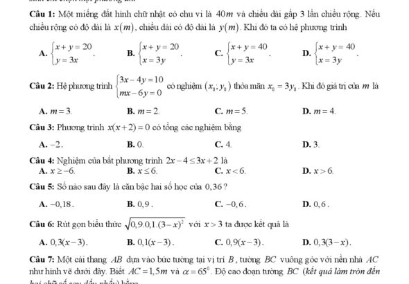 de-minh-hoa-ky-thi-danh-gia-nang-luc-toan-lop-9-nam-2025-2026-truong-fpt-bac-giang - Trang 1