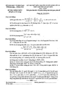 de-thi-thu-toan-chuyen-le-quy-don-lop-10-nam-2025-tinh-ba-ria-vung-tau - Trang 1