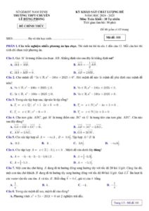 de-khao-sat-nang-luc-mon-toan-lop-10-nam-hoc-2024-2025-truong-thpt-chuyen-le-hong-phong - Trang 1