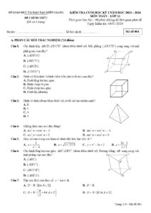 de-kiem-tra-cuoi-hoc-ky-1-mon-toan-lop-11-nam-hoc-2023-2024-so-gddt-kien-giang - Trang 1