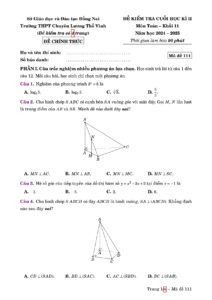de-kiem-tra-cuoi-hoc-ky-ii-toan-lop-11-nam-2024-2025-truong-thpt-chuyen-luong-the-vinh - Trang 1