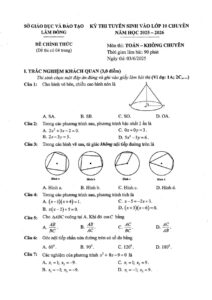 de-thi-tuyen-sinh-vao-lop-10-khong-chuyen-toan-lam-dong-nam-hoc-2025-2026 - Trang 1