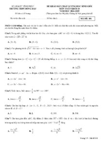 de-khao-sat-chat-luong-hoc-sinh-gioi-toan-khoi-10-nam-2024-2025-truong-thpt-dong-dau - Trang 1