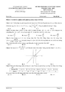 de-thi-chon-hoc-sinh-gioi-toan-lop-12-nam-hoc-2024-2025-cum-tp-bac-giang - Trang 1