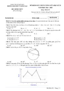de-khao-sat-chat-luong-giua-hoc-ky-ii-mon-toan-lop-9-nam-hoc-2024-2025-ma-de-901 - Trang 1