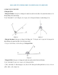 chuyen-de-goc-va-duong-thang-song-song-mon-toan-lop-7 - Trang 1