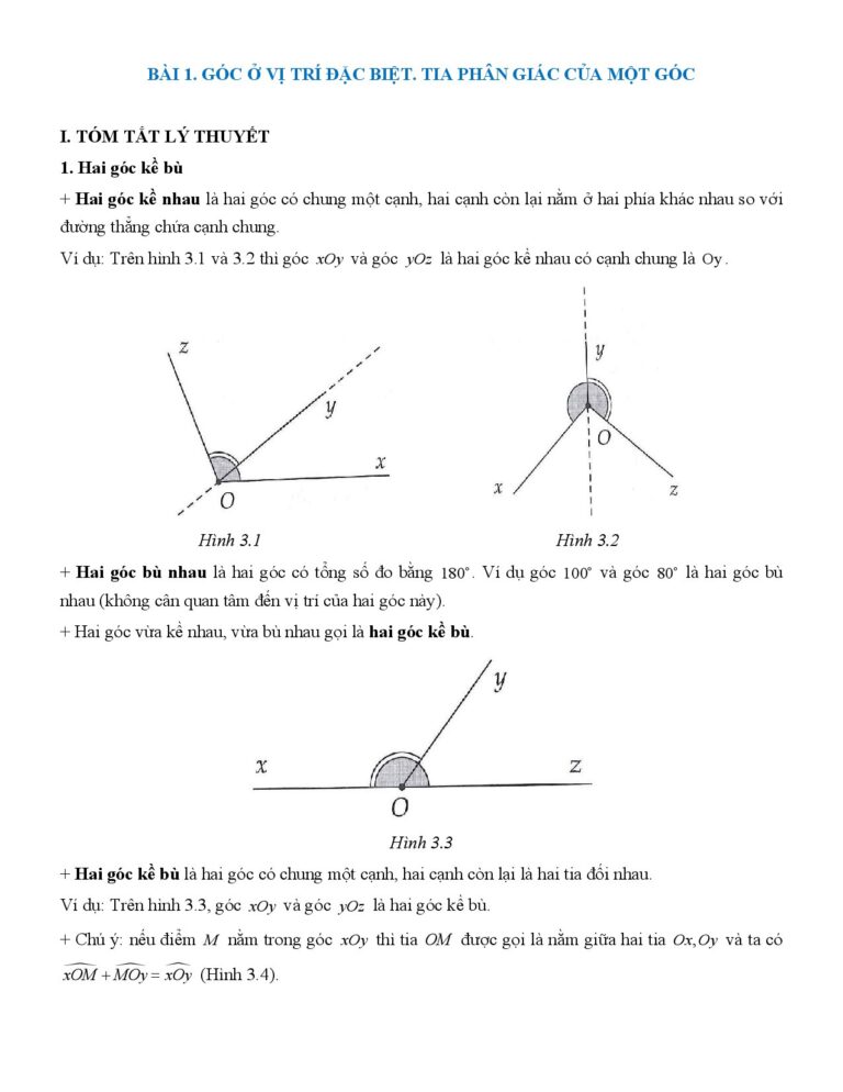 chuyen-de-goc-va-duong-thang-song-song-mon-toan-lop-7 - Trang 1