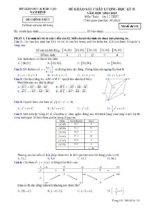 de-khao-sat-chat-luong-hoc-ky-ii-toan-lop-12-nam-hoc-2024-2025-so-gddt-nam-dinh - Trang 1