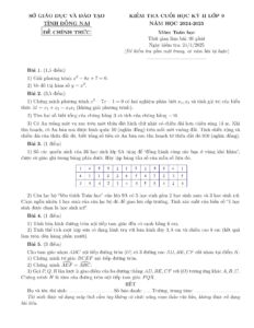 de-kiem-tra-cuoi-hoc-ky-2-toan-lop-9-tinh-dong-nai-nam-hoc-2024-2025 - Trang 1