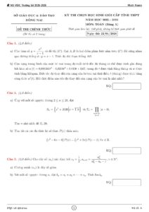 de-thi-chon-hoc-sinh-gioi-toan-thpt-cap-tinh-nam-hoc-2025-2026-so-giao-duc-dong-nai - Trang 1