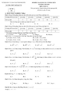 de-kiem-tra-cuoi-hoc-ky-2-mon-toan-lop-11-nam-hoc-2023-2024-truong-thpt-ngo-quyen - Trang 1