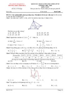 de-khao-sat-chat-luong-toan-12-nam-2024-2025-truong-thpt-tinh-gia-1-ma-de-1201 - Trang 1