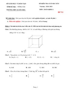 de-kiem-tra-cuoi-hoc-ky-2-mon-toan-khoi-11-nam-2024-2025-truong-thpt-xuyen-moc - Trang 1