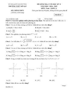de-kiem-tra-cuoi-hoc-ky-ii-mon-toan-khoi-11-nam-2024-2025-truong-thpt-ke-sat - Trang 1