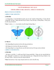 chuyen-de-hinh-hoc-truc-quan-ve-tinh-doi-xung-trong-toan-lop-6 - Trang 1