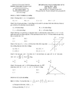 de-kiem-tra-hoc-ky-2-toan-lop-8-nam-hoc-2024-2025-quan-hai-ba-trung - Trang 1