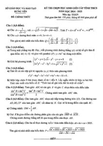 de-thi-hoc-sinh-gioi-toan-lop-9-cap-tinh-nam-hoc-2024-2025-tinh-hung-yen - Trang 1