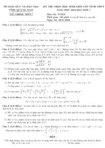 de-thi-chon-hoc-sinh-gioi-toan-lop-12-tinh-quang-nam-nam-2023-2024-dot-1-co-dap-an - Trang 1