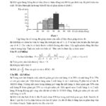 de-khao-sat-chat-luong-mon-toan-lop-9-nam-hoc-2024-2025-phong-giao-duc-va-dao-tao-thach-that - Trang 1