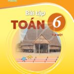 tong-quan-sach-bai-tap-toan-6-bo-ket-noi-tri-thuc-voi-cuoc-song - Trang 1
