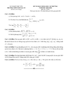 de-thi-hoc-sinh-gioi-toan-cap-truong-nam-hoc-2023-2024-truong-thpt-ngo-gia-tu-phu-yen - Trang 1