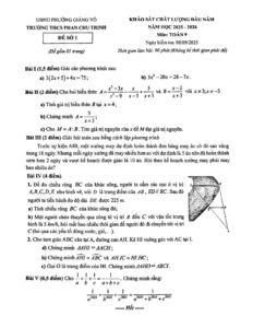 de-khao-sat-chat-luong-dau-nam-toan-9-nam-hoc-2025-2026-truong-thcs-phan-chu-trinh - Trang 1