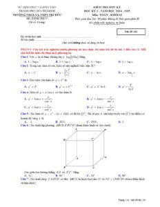 de-kiem-tra-hoc-ky-2-toan-khoi-11-nam-hoc-2024-2025-truong-thcs-va-thpt-tri-duc - Trang 1