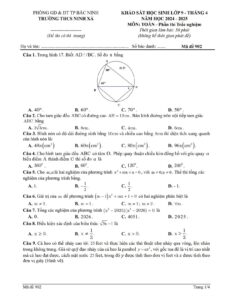 de-khao-sat-hoc-sinh-mon-toan-lop-9-thang-4-nam-2024-2025-truong-thcs-ninh-xa - Trang 1