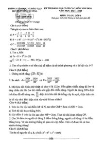 de-thi-danh-gia-nang-luc-toan-lop-6-nam-hoc-2024-2025-huyen-tuong-duong - Trang 1