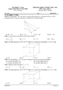 de-kiem-tra-giua-hoc-ky-2-toan-11-nam-hoc-2023-2024-truong-thpt-phan-ngoc-hien - Trang 1