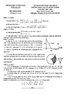 de-thi-tuyen-sinh-vao-lop-10-chuyen-toan-truong-thpt-chuyen-hung-vuong-gia-lai-nam-2025-2026 - Trang 1