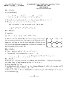 de-khao-sat-chon-hoc-sinh-gioi-mon-toan-lop-8-nam-hoc-2024-2025-phong-giao-duc-va-dao-tao-dong-hung - Trang 1