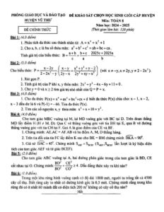 de-thi-chon-hoc-sinh-gioi-toan-lop-8-nam-2024-2025 - Trang 1