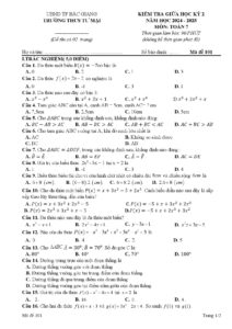 de-thi-giua-hoc-ky-2-toan-lop-7-nam-hoc-2024-2025-truong-thcs-tu-mai - Trang 1