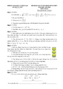 de-khao-sat-chat-luong-mon-toan-tuyen-sinh-lop-10-nam-hoc-2025-2026-phong-giao-duc-va-dao-tao-huyen-vu-thu - Trang 1