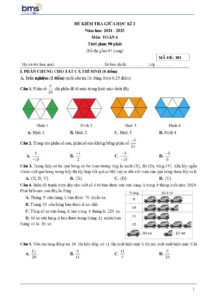 de-kiem-tra-giua-hoc-ky-2-toan-6-nam-hoc-2024-2025-ma-de-101 - Trang 1